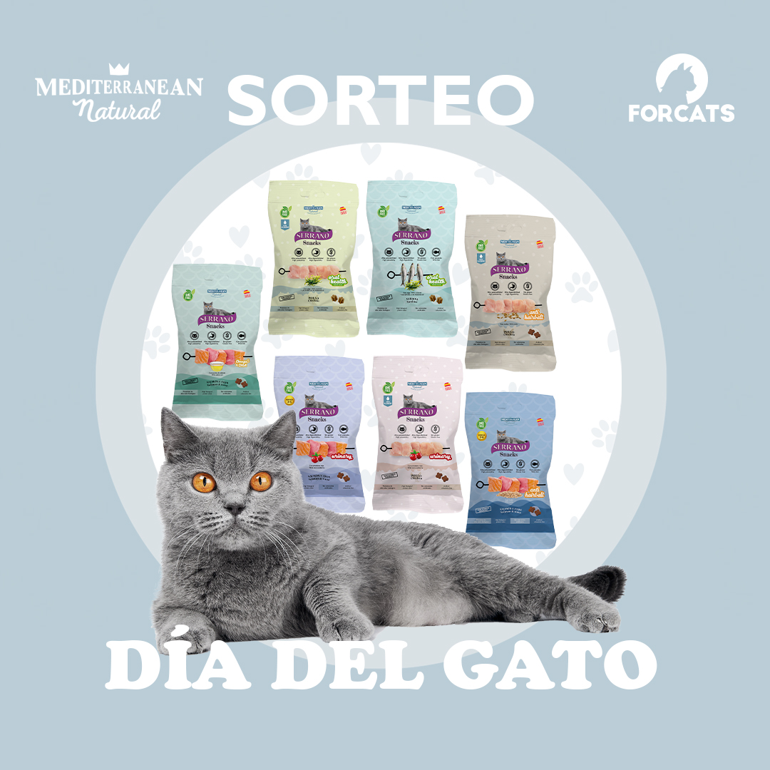 Sorteo día del gato 2024 - snacks